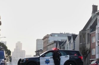 Mountain lion saunters through San Francisco’s posh Pacific Heights neighborhood before capture